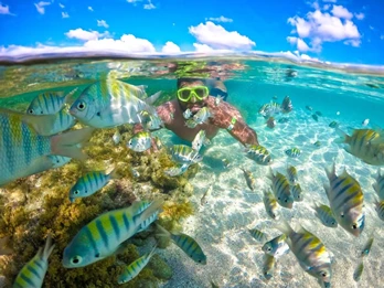 Snorkel em Maragogi